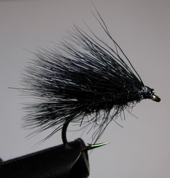 ���� Caddis ( Sedgehog Black ) Kumho � 10 